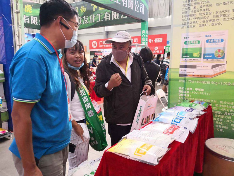 香港十二生肖号码