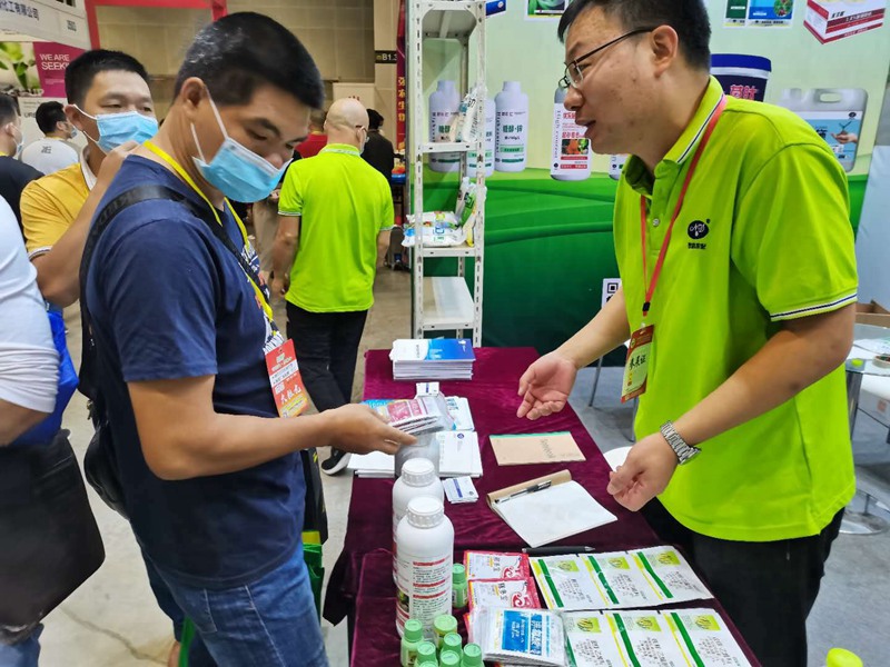 香港十二生肖号码