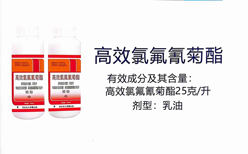 香港十二生肖号码