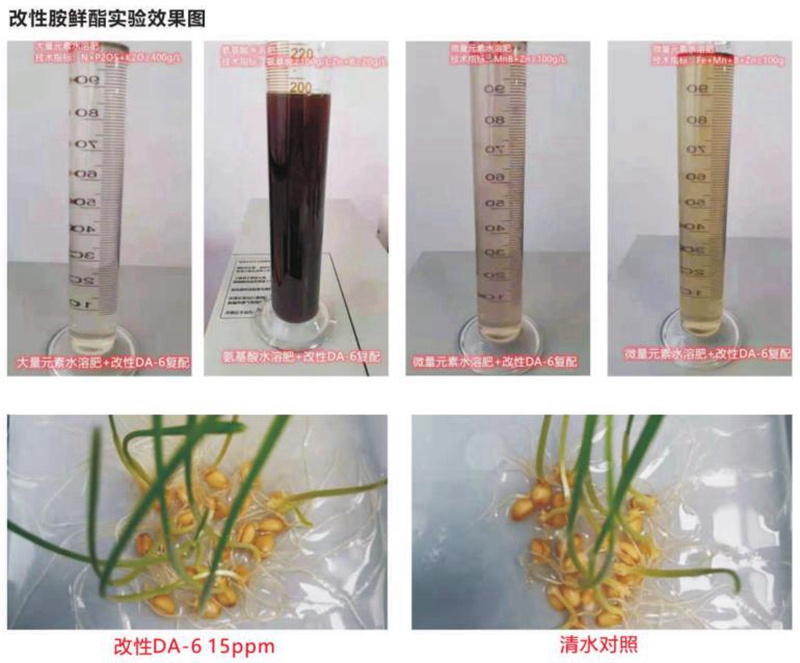 香港十二生肖号码