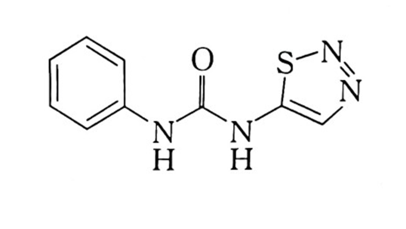 香港十二生肖号码