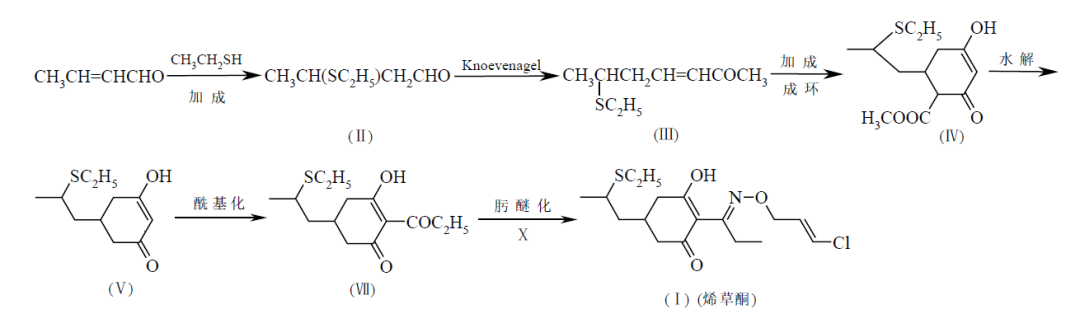 香港十二生肖号码