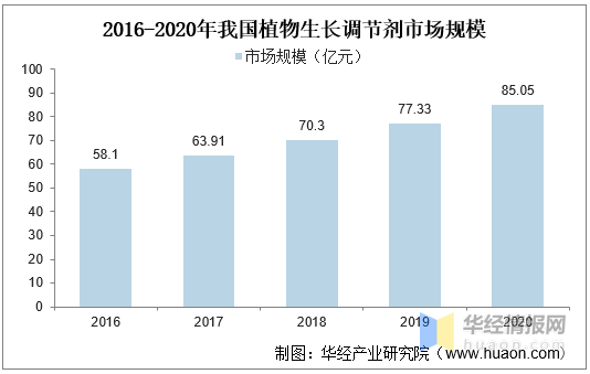 香港十二生肖号码